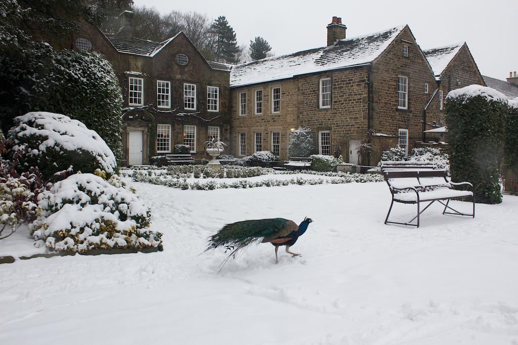 Whitley Hall Hotel Sheffield Exterior photo